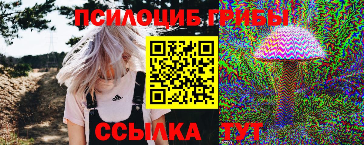 Конопля Кузнецк