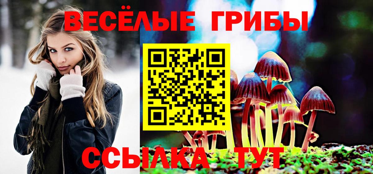 Псилоцибиновые грибы ЛСД Кузнецк
